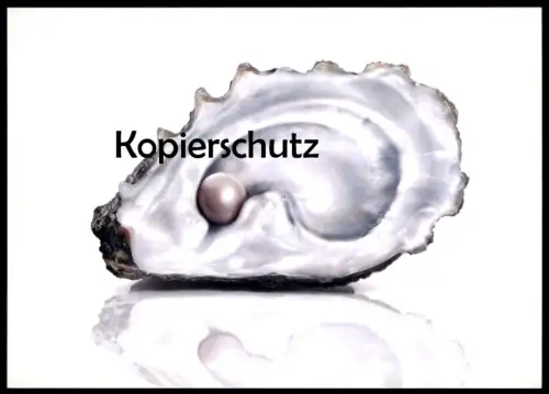 ÄLTERE POSTKARTE MUSCHEL AUSTER PERLE oyster huitre sea shell coquillage de mer cpa postcard AK Ansichtskarte