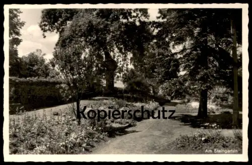 ÄLTERE POSTKARTE AM STEINGARTEN KNABENINSTITUT LUCIUS FORSTHAUS BEI ECHZELL OBERHESSEN Hessen Ansichtskarte cpa postcard