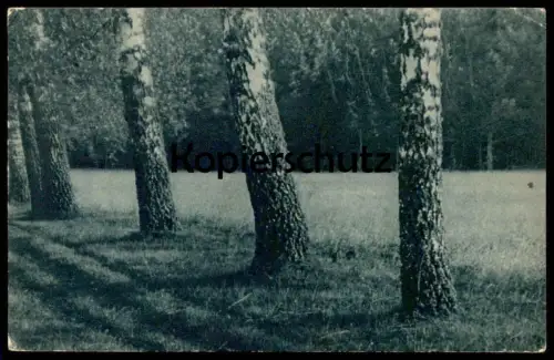 ALTE POSTKARTE LITAUISCHE LANDSCHAFTEN Litauen Lietuva Lituanie Lithuania Landschaft landscape postcard AK Ansichtskarte