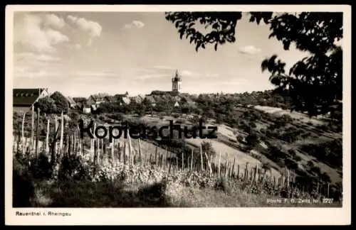 ALTE POSTKARTE RAUENTHAL IM RHEINGAU ELTVILLE WEINREBEN WEIN WEINSTÖCKE PANORAMA Ansichtskarte AK cpa postcard
