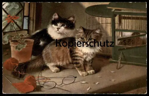 ALTE POSTKARTE KATZEN KATZE VOGELKÄFIG VOLGELFEDERN STRICKZEUG MARKE EGEMES cat cats chat chats postcard cpa AK