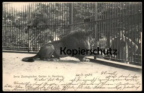 ALTE POSTKARTE ZOOLOGISCHER GARTEN HAMBURG LÖWE WÄRTER ZOO Käfig Tiergarten lion Tier animal Ansichtskarte cpa postcard