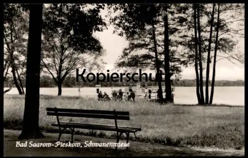 ÄLTERE POSTKARTE BAD SAAROW PIESKOW SCHWANENWIESE FÄHRANLEGER Bank Anlegestelle Fähre Ansichtskarte AK cpa postcard