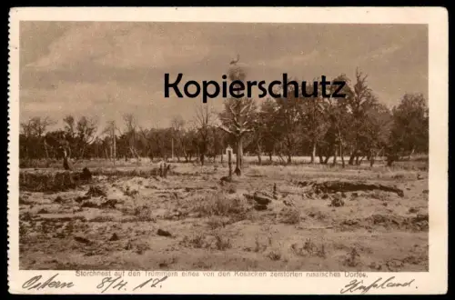 ALTE POSTKARTE STORCHNEST AUF DEN TRÜMMERN EINES VON KOSAKEN ZERSTÖRTEN DORFES RUSSLAND torchennest Storch stork's nest