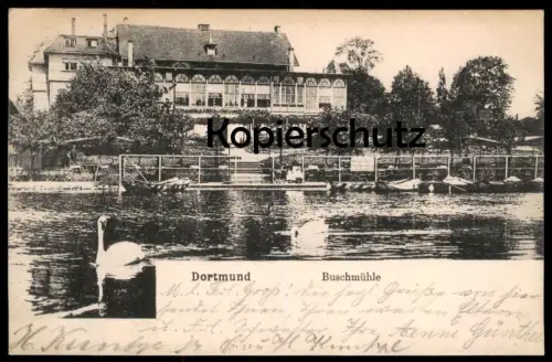 ALTE POSTKARTE DORTMUND BUSCHMÜHLE 1905 TEICH SEE SCHWAN BOOTE Ansichtskarte AK postcard cpa