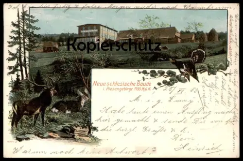 ALTE POSTKARTE NEUE SCHLESISCHE BAUDE HIRSCH REH AUERHAHN STEMPEL GUSTAV ALDOPH RIESENGEBIRGE Schlesien postcard cpa AK