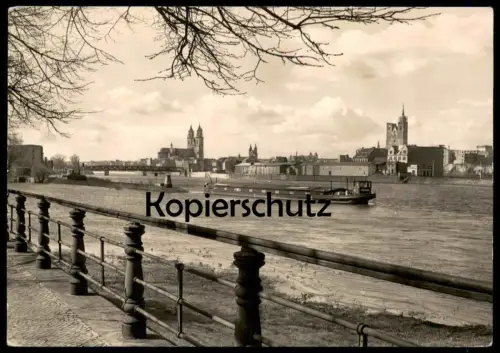 ÄLTERE POSTKARTE MAGDEBURG ELBANSICHT FRACHTSCHIFF ELBE Schiff cargo freight ship vrachtschip Ansichtskarte postcard cpa