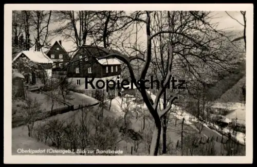 ALTE POSTKARTE OBERKIPSDORF OSTERZGEBIRGE BLICK ZUR BRANDBAUDE ERZGEBIRGE KIPSDORF SACHSEN ALTENBERG Ansichtskarte AK