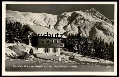 ALTE POSTKARTE SEEFELD IN TIROL ROSSHÜTTE MIT SEEFELDERSPITZE AK Ansichtskarte postcard cpa