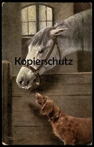 ALTE KÜNSTLER POSTKARTE HUND MIT PFERD SCHIMMEL white horse dog cheval blanc chien Ansichtskarte AK cpa postcard