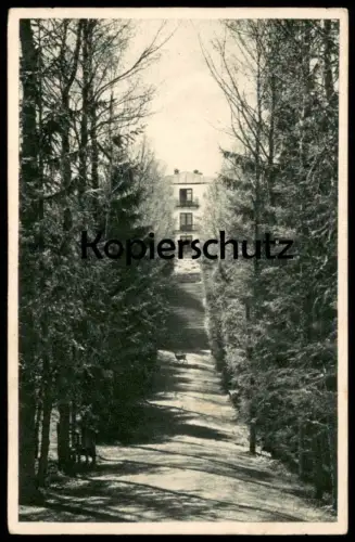 ALTE POSTKARTE BAD KOHLGRUB BAYERISCHER HOF ALLEE REH deer alley parkway Ansichtskarte AK cpa postcard