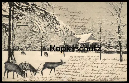 ALTE POSTKARTE HEUBERGHAUS IM WINTER REH HIRSCH FRIEDRICHRODA Wild Rehe Hirsche roe deer Ansichtskarte AK postcard cpa