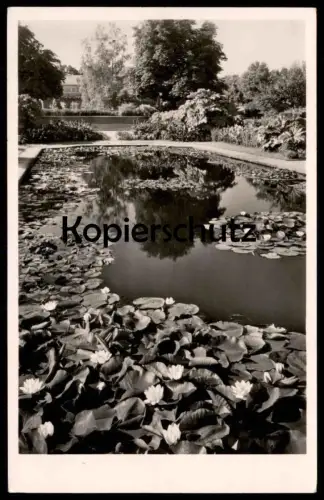 ALTE POSTKARTE MÜNCHEN NYMPHENBURG BOTANISCHER GARTEN SEEROSEN IM SCHMUCKHOF