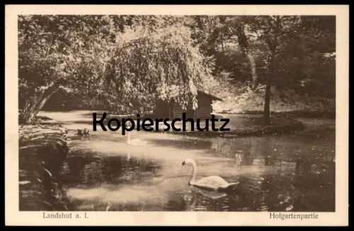 ALTE POSTKARTE LANDSHUT AN DER ISAR HOFGARTENPARTIE SCHWAN