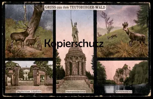ALTE POSTKARTE GRUSS AUS DEM TEUTOBURGER WALD HERMANNSDENKMAL DETMOLD JAGDSCHLOSS LOPSHORN EXTERNSTEINE HIRSCHE