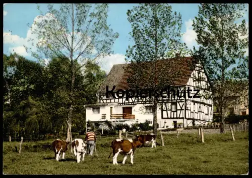ÄLTERE POSTKARTE PENSION SCHLAUDERMÜHLE DORNDORF WESTERWALD DORNBURG Ansichtskarte