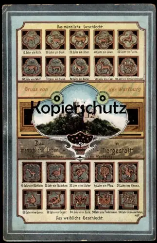 ALTE POSTKARTE WARTBURG DAS LEBEN IN TIERGESTALT HUND WOLF EULE FLEDERMAUS