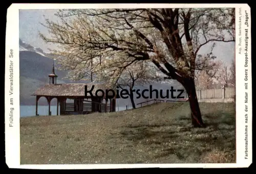 ALTE POSTKARTE FRÜHLING AM VIERWALDSTÄTTER SEE Schweiz Suisse Helvetia Ansichtskarte cpa postcard