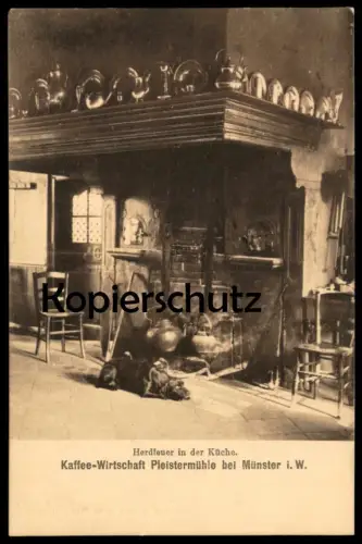 ALTE POSTKARTE MÜNSTER HERDFEUER IN DER KÜCHE KAFFEE-WIRTSCHAFT PLEISTERMÜHLE HUND Ansichtskarte cpa postcard