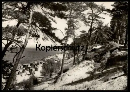 ÄLTERE POSTKARTE LUBMIN STRAND UND WALD KÜSTE 1966 GREIFSWALD Ansichtskarte postcard cpa AK