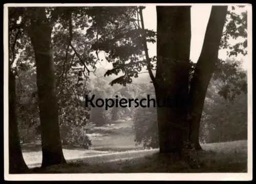 ALTE POSTKARTE MUSKAU OBERLAUSITZ GRÄFLICH ARNIMSCHE STANDESHERRSCHAFT FÜRST PÜCKLER PARK BLICK VON DER GOLDENEN HÖHE