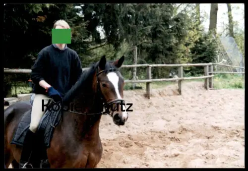 ÄLTERES ORIGINAL FOTO REITSPORT REITERIN UNBEKANNTE PERSON PFERD BLESSE Reiter horse cheval photo