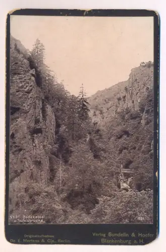 ALTES KABINETTFOTO CDV CAB PHOTO BODEKESSEL UND TEUFELSBRÜCKE 1891 Photochromie Photoplatte Dr. E. Mertens, Berlin Harz