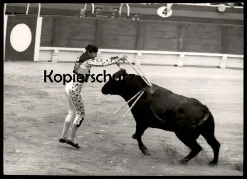ALTES ORIGINAL FOTO STIERKAMPF PALMA DE MALLORCA BANDERILLERO STIER ISLAS BALEARES LA CORRIDA TOROS TORERO PHOTO