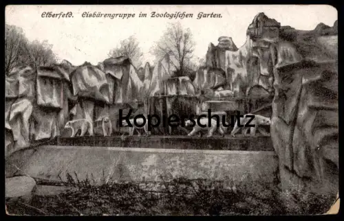 ALTE POSTKARTE ELBERFELD ZOOLOGISCHER GARTEN EISBÄREN ZOO Wuppertal polar bear ours blanc