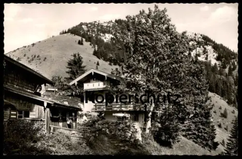 ÄLTERE POSTKARTE KESSLALM KESSEL-ALM KESSELALM BERGWIRTSCHAFT FISCHBACHAU Ansichtskarte