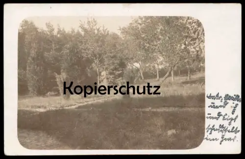 ALTE FOTO POSTKARTE VATER MUTTER UND ICH UND LISL SCHNÜFFELT IM GRAS FAMILIE MIT HUND Photo