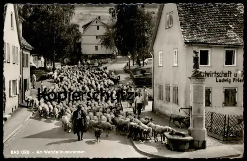 ÄLTERE POSTKARTE BAD ORB IM SPESSART AM WENDELINUSBRUNNEN SCHAFE HIRTE SCHAFHERDE HÜTEHUND sheep Ansichtskarte