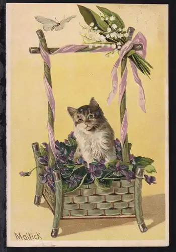 Katze, Präge-CAK, 1906