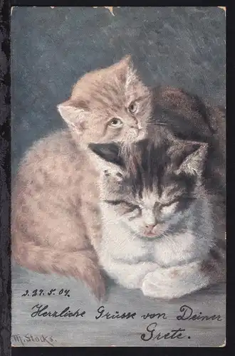 2 Katzen, 1904 