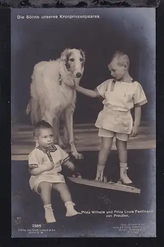 Prinz Wilhelm und Prinz Louis Ferdinand von Preußen Die Söhne unseres 