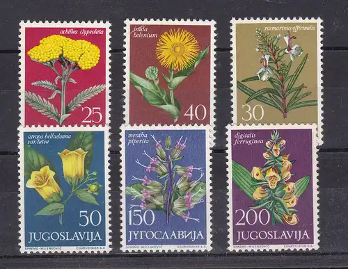 Jugoslawische Flora (VI) **