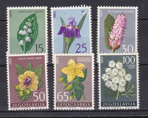 Jugoslawische Flora (V) **