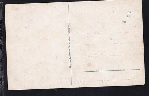 Dampfer "Württemberg" in Lindau