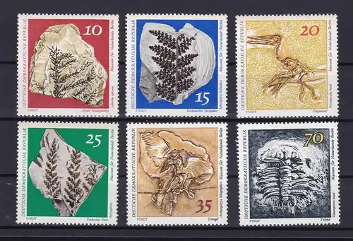 Museum für Naturkunde Berlin, **