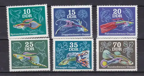 Zierfische: Guppys, **