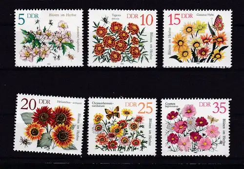 Herbstblumen, **