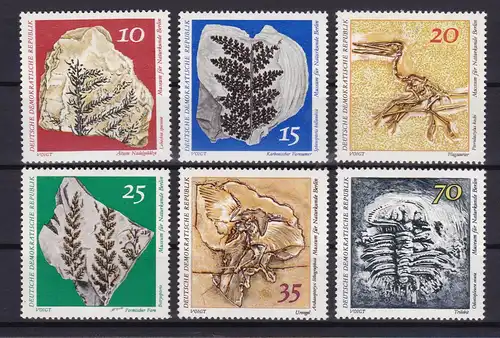 Museum für Naturkunde Berlin, **