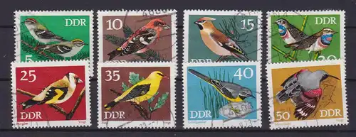 Geschützte Singvögel