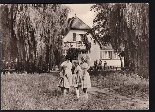 LÜBBEN 1 LUBIN 1 755 f 13.9.79 auf AK (Im Spreewald)