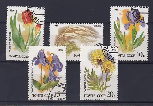 Geschützte Pflanzen der russischen Steppen