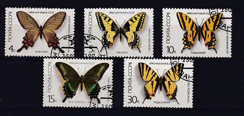 Seltene Schmetterlinge (II)