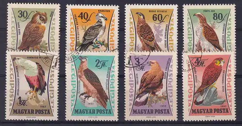 65 Jahre Landwirtschaftliches Museum: Raubvögel