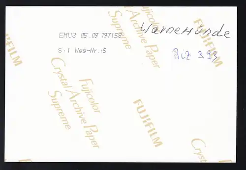 Foto Warnemünde Leuchtturm Westmole