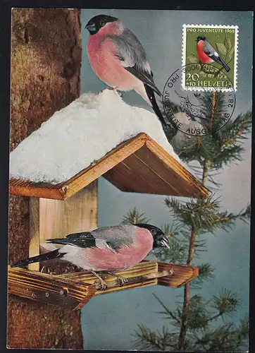 Pro Juventute 1968 20+10 C. Donpfaff auf Maximum-Karte 