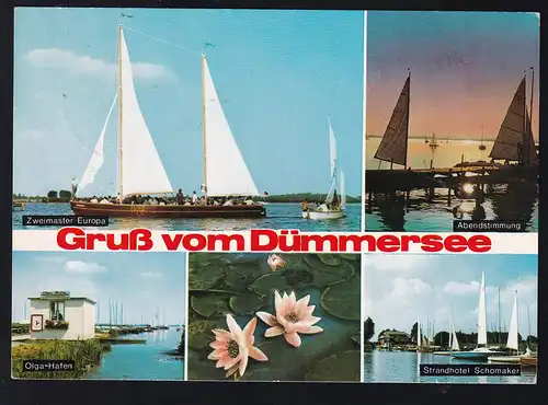 Groß vom Dümmersee 5 Bilder